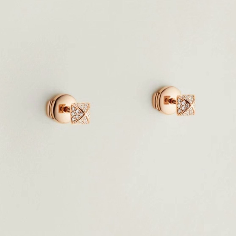 H**mes earrings